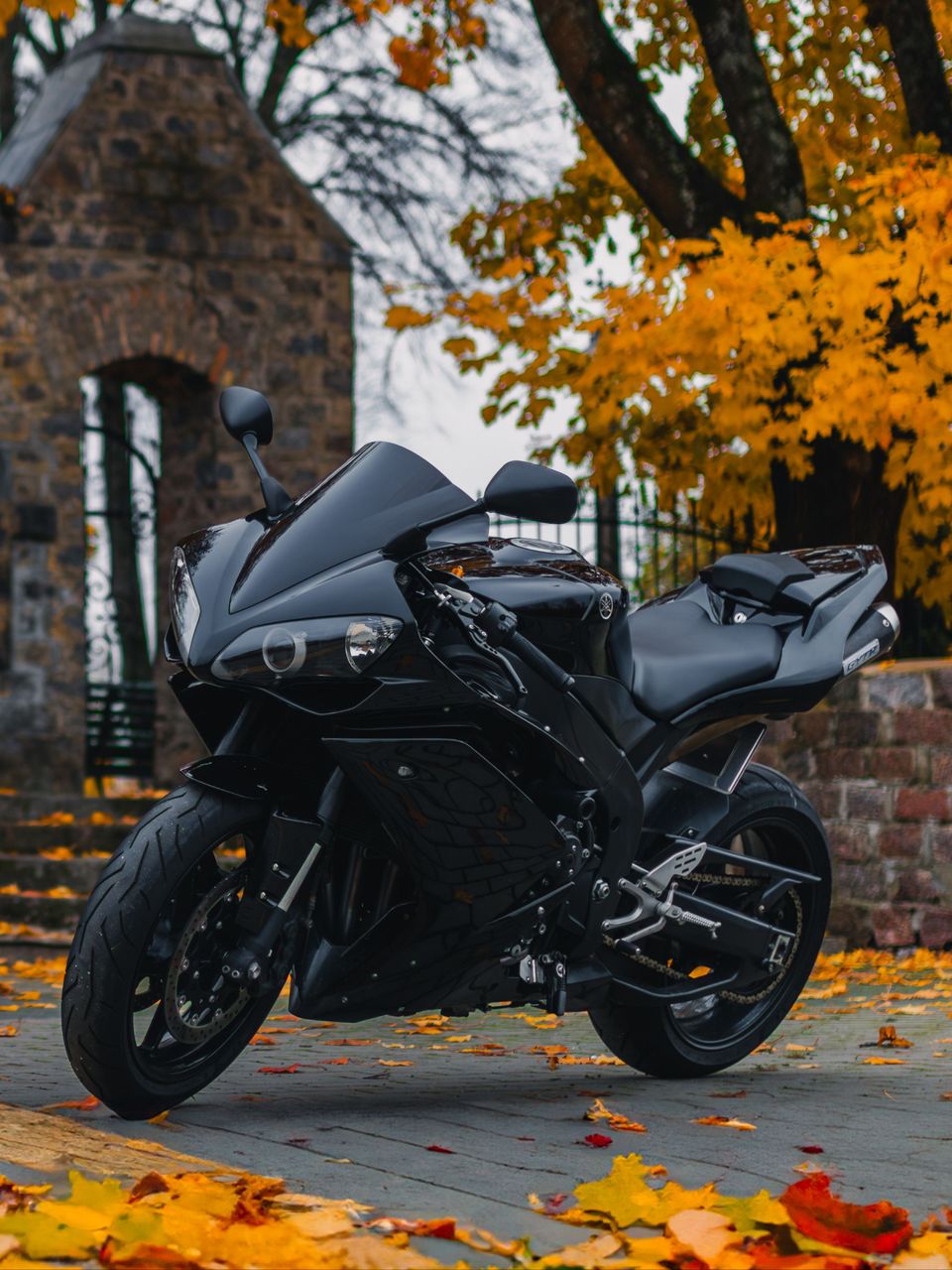 HONDA CBR 600RR 2024 NH-A86